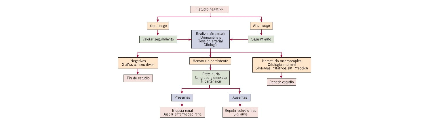 Hematuria. Figura 2. Algoritmo de seguimiento de hematuria.
