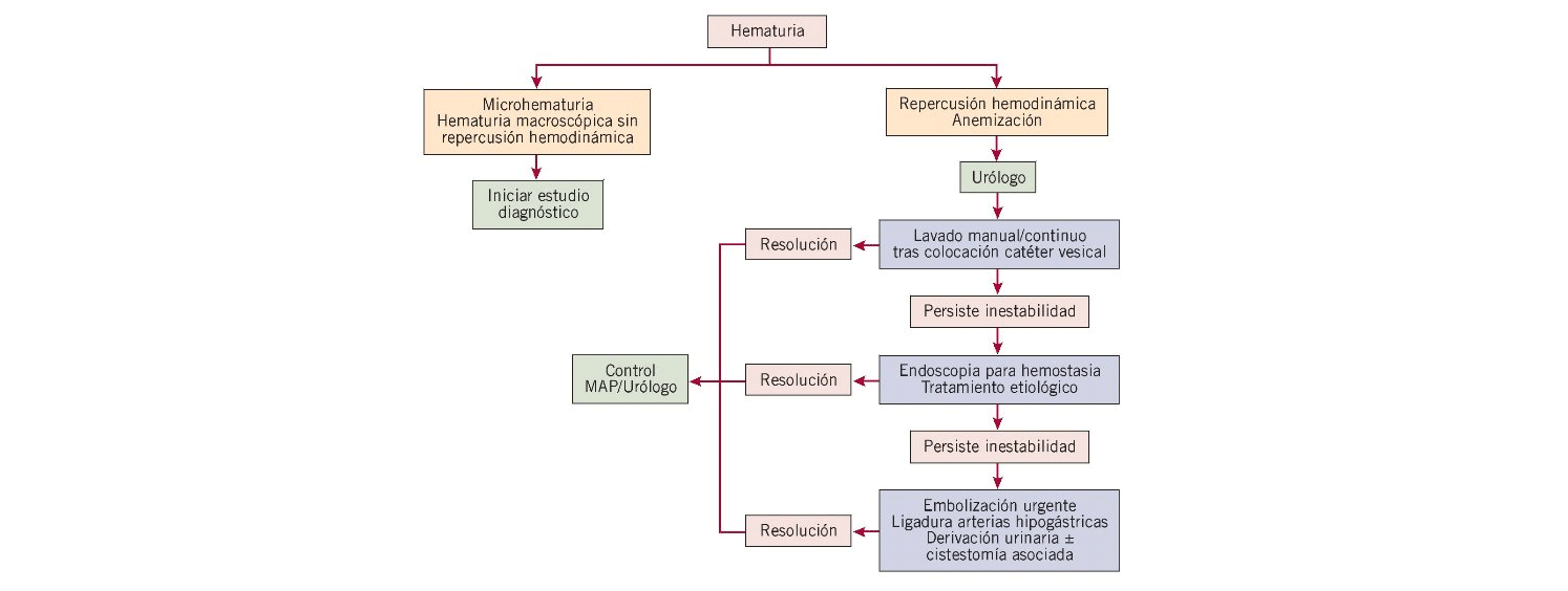 Hematuria. Figura 3. Algoritmo de tratamiento urgente de la hematuria. MAP: médico de atención primaria.